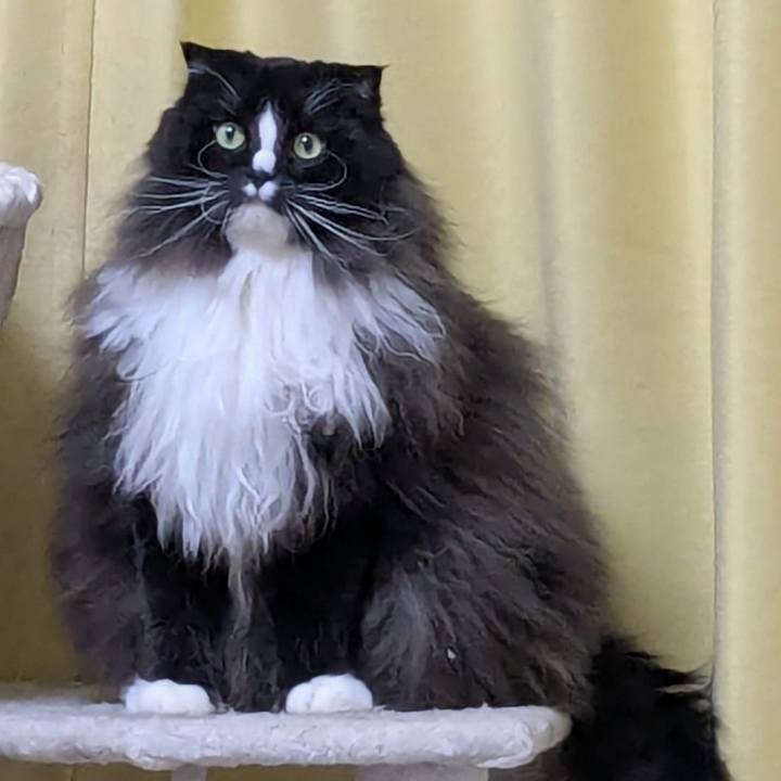 6a17fd44 4d82 4e58 8f5d 5bdc75a34035 1766833248302