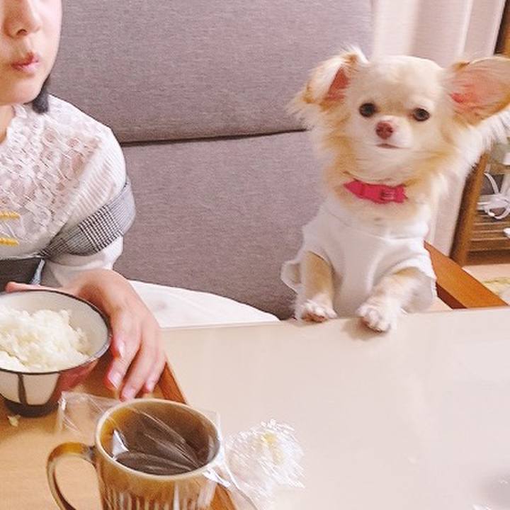 6a18080f 59f7 458f 8c89 8d41ff99d691 1618130961713