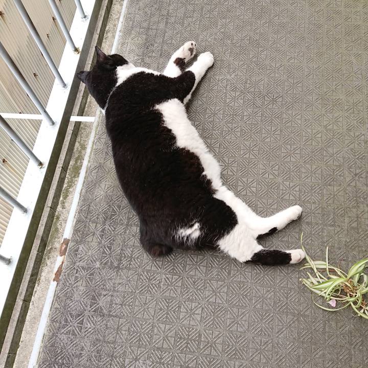 6a18871e 88a7 407f a6a5 b936048db68f 1623463199044