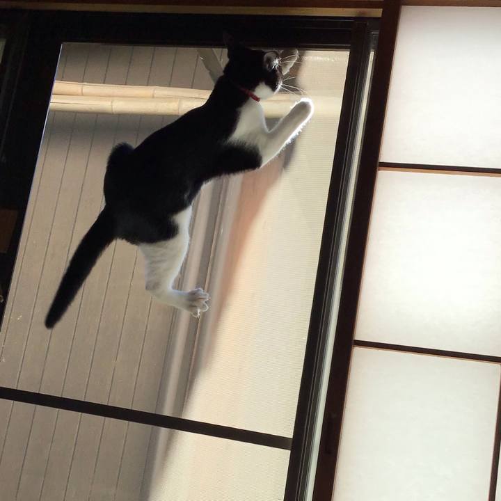 6a18c095 bc9b 4c1a b149 6b19ea7ed2bd 1628552324264