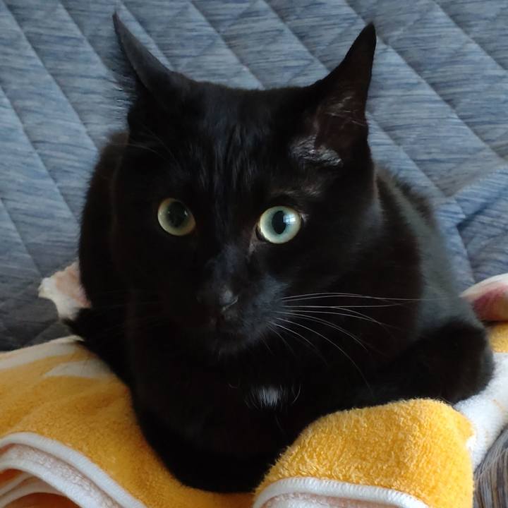 6a18d3cd 0698 4a2d 82e6 346b77603b60 1666221761671