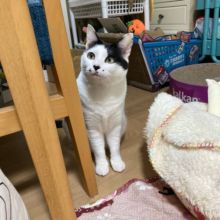 6a18e608 1347 4318 9c7e 5dbbd34aecc1 1774210070014