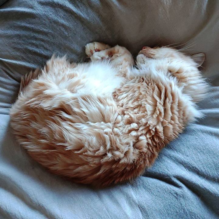 6a18f500 2023 4e15 804a cebb658c2e06 1673489827088