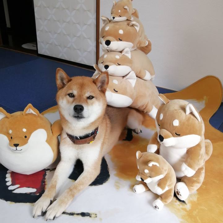 6a192e1a 39e0 4006 b3f3 15a214bf660f 1591076396280