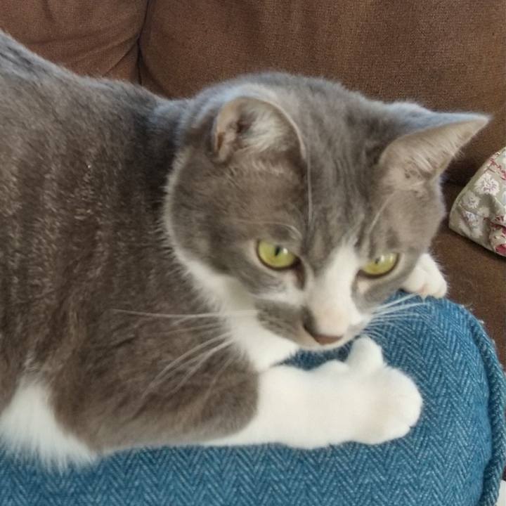 6a1939a3 6422 4ec8 8bae 3405be7cff9b 1615697557400