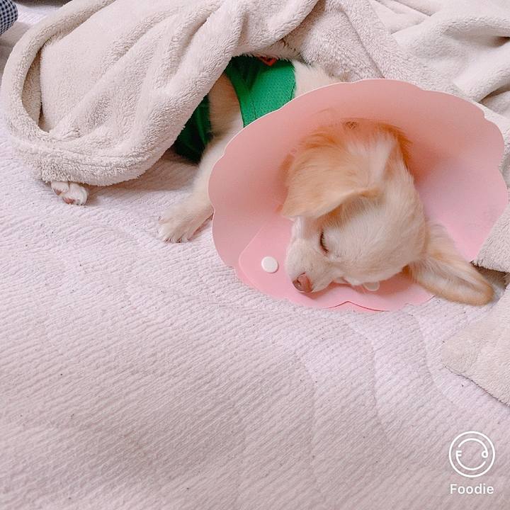 6a194bff 4c6f 4d5b b058 b14d57504df0 1598837722388