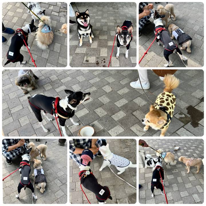 6a1976db 9f35 4b30 9603 3eec42e864fa 1655001010683