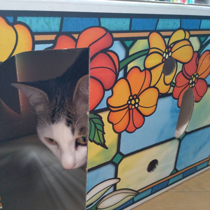 6a1983f4 2e92 4fc5 9511 067e88cf8071 1651892592319