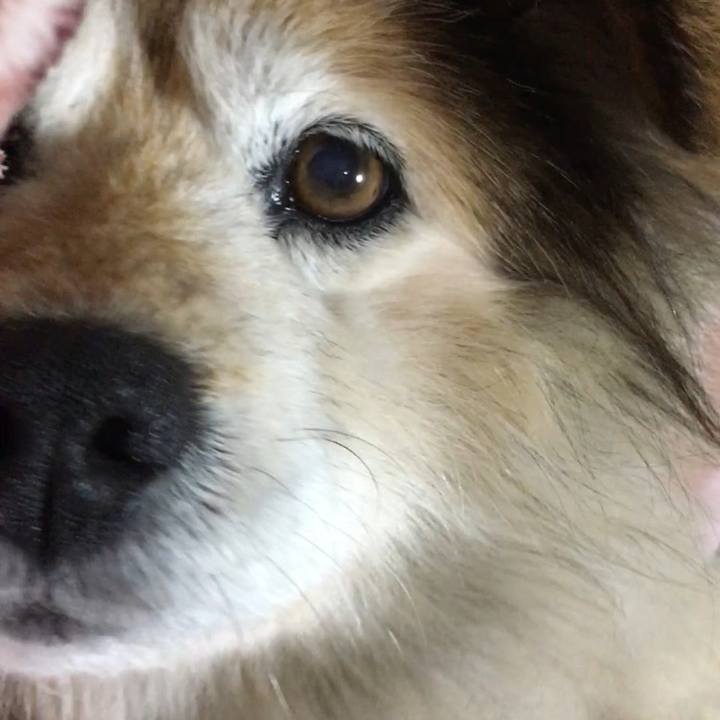 6a19a4bc 9ae8 4dbc 9ec0 eb2c1c38dfa2 1607285189920