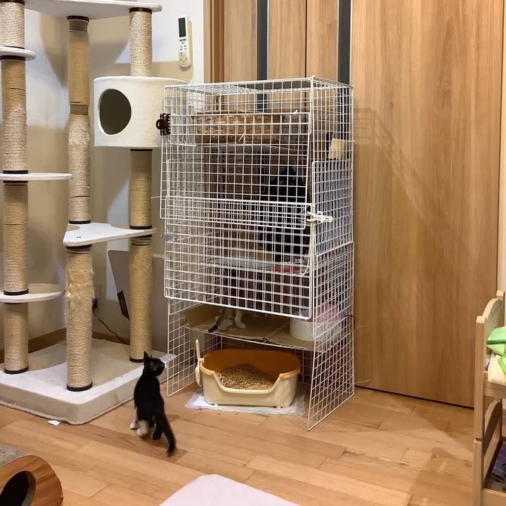 6a19b6f4 528f 4cea aadd a6f90f50bbf9 1567724754918