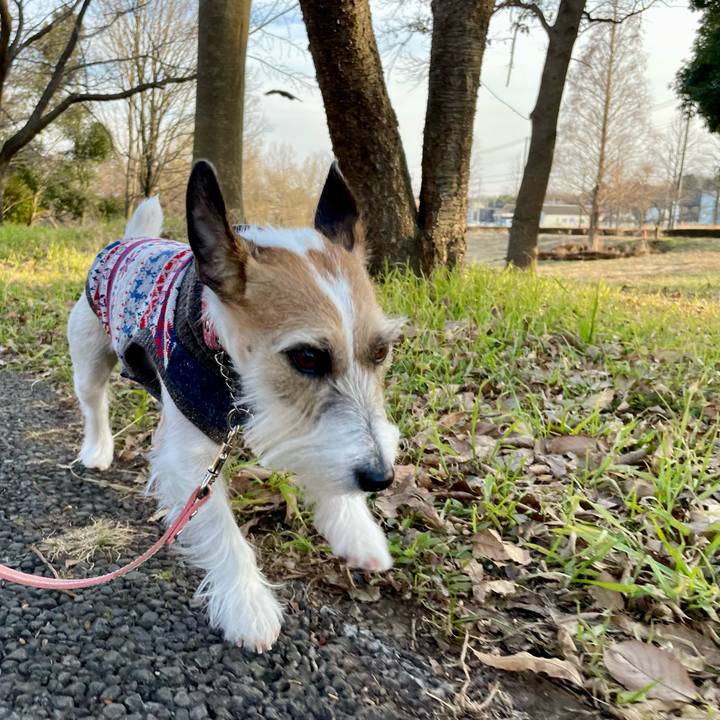 6a19b768 97ad 4d2b 89e9 22b357d458b3 1675681610006