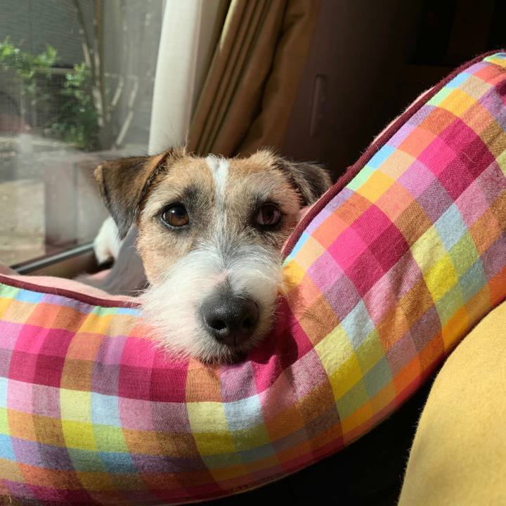 6a19c835 1f34 45f8 a019 bdb7a719d716 1602998358388