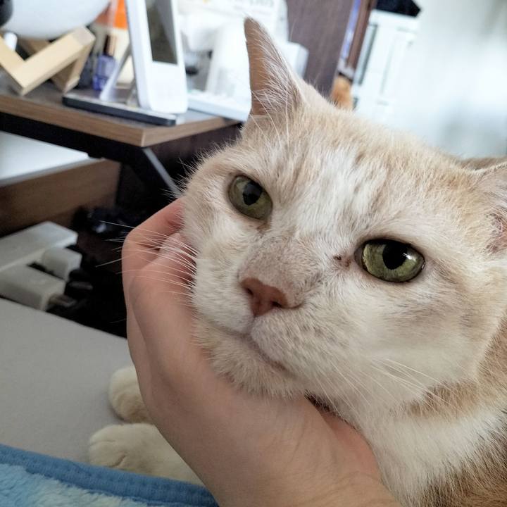 6a1a012d 0a18 4b6a a8d4 b1f0e1bc1e98 1689459267924