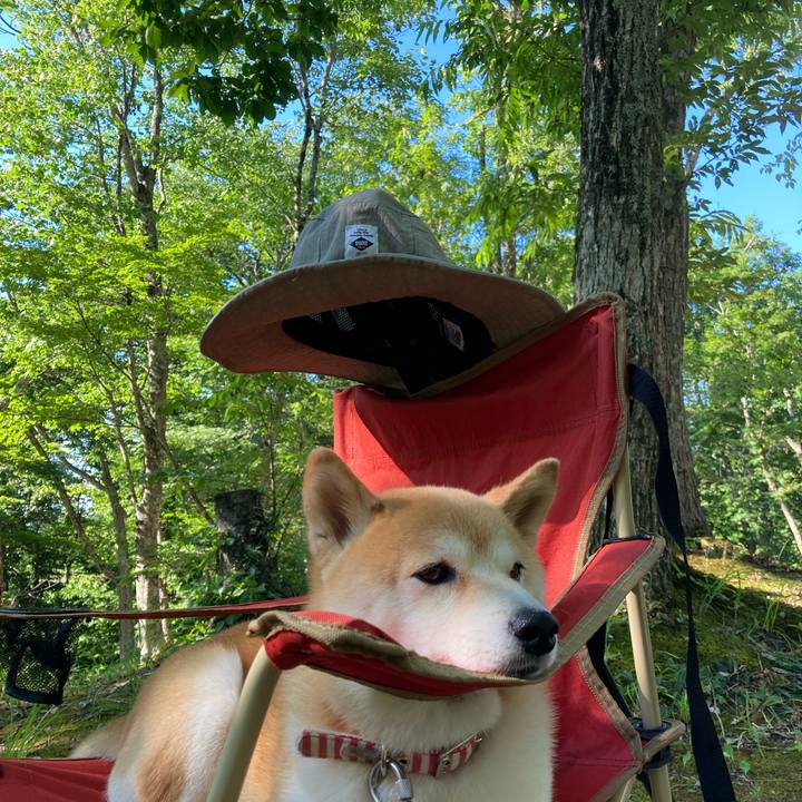 6a1a48cb 8c44 44d2 a966 24165a3ff24d 1753168543875