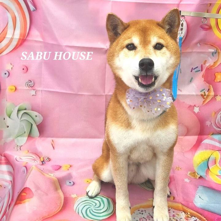 6a1a4d30 774b 4790 85a2 a89354e112a0 1741587898039