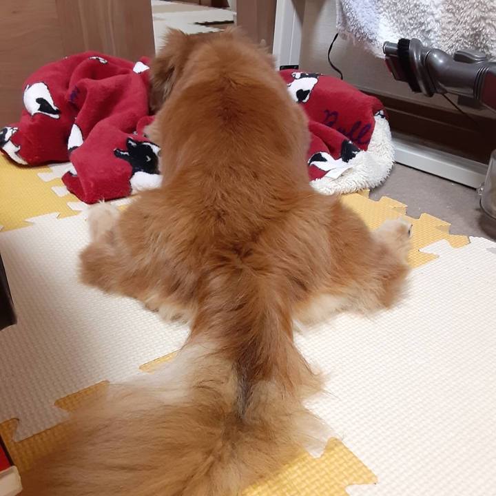 6a1a8921 dbea 49e5 ac29 ed663363b193 1635167071802