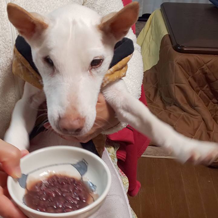 6a1a98cc 630b 475b acfb 86fa518b1235 1547422608469