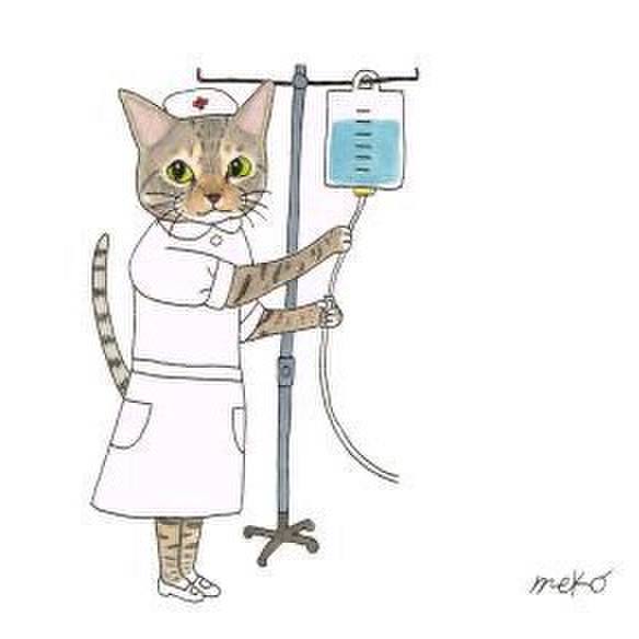 6a1abe95 eb3b 4427 9454 6b5016dfa636 1634905553994