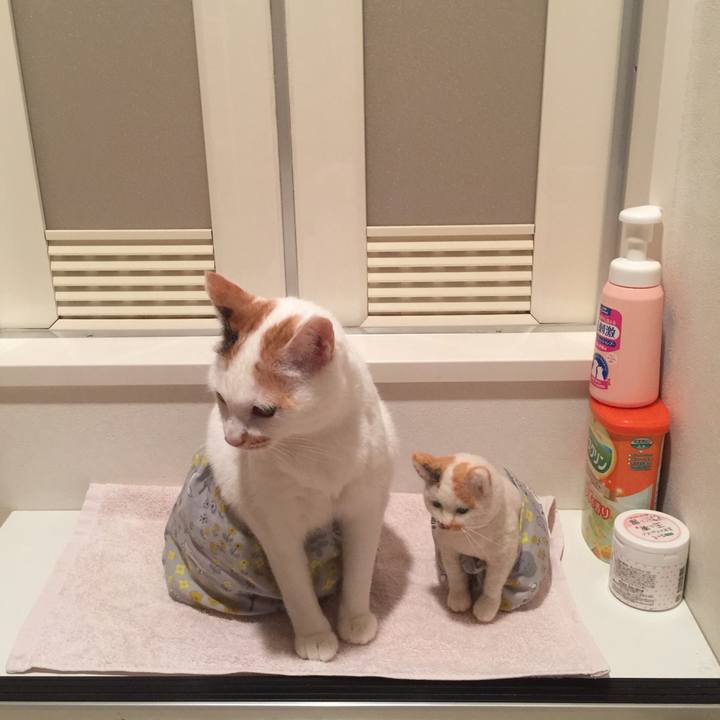 6a1aee3e db37 44a4 9a79 6af8d8d6310d 1524817494876