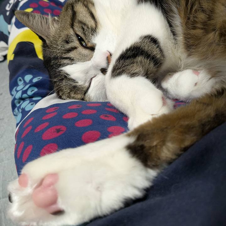 6a1afb29 683f 4b26 a257 75f9cdad8ee4 1741389484971