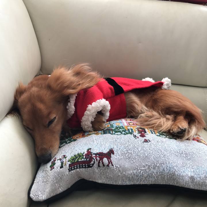 6a1b031c 0de4 4ca3 97c9 42386e54e7a8 1513388463681