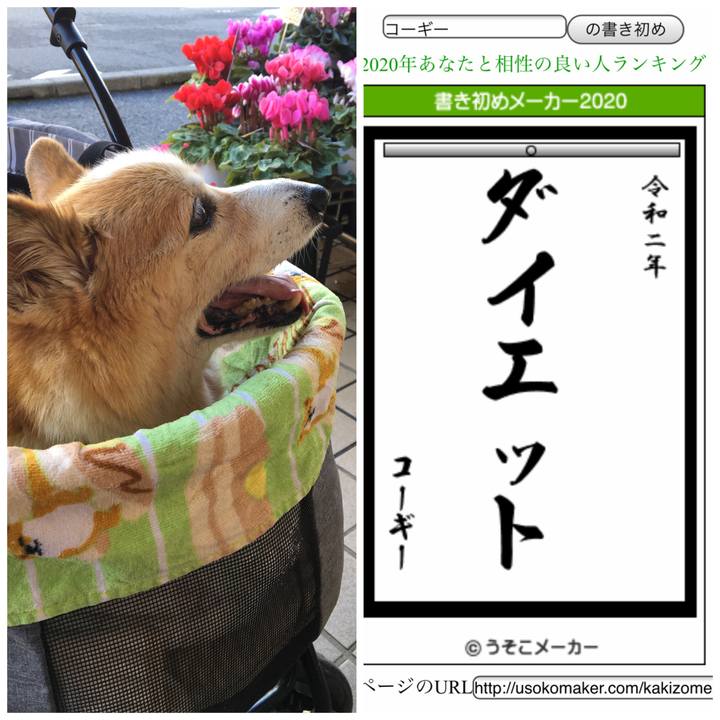 6a1b14c1 6008 4719 961b 3104cd7d314c 1577845355671