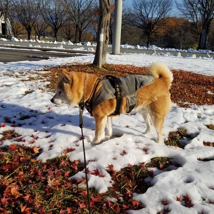 6a1b3471 72eb 4298 bb63 28693cc15997 1701062850259