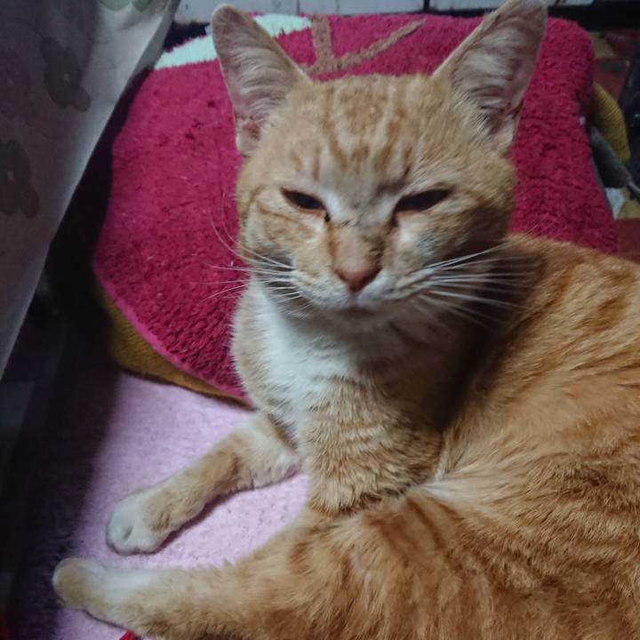 6a1b359c 88a8 4c98 bad8 7c8809bf89dd 1554269983771