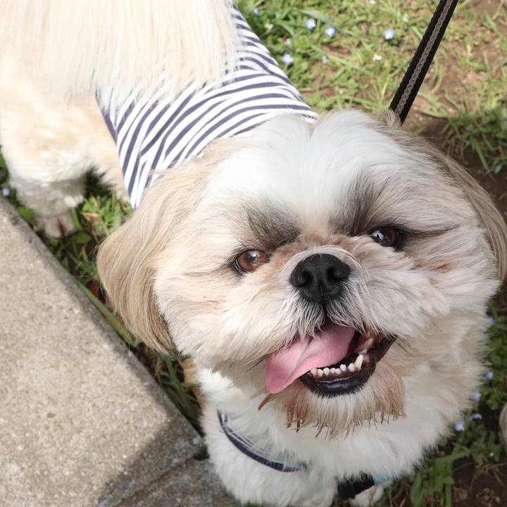 6a1b741c b30d 46a1 8849 6eee0f64d57f 1522080326779