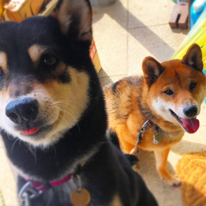 6a1b91a3 3ed6 4b52 8860 397039bf3aa6 1584835455054