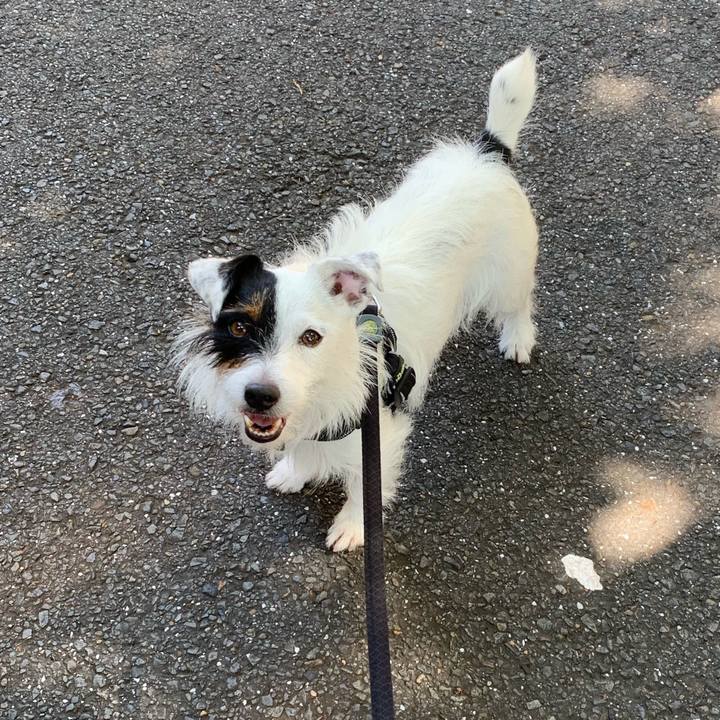 6a1baa07 53c0 4094 be28 9e5c318b6c89 1561509830251