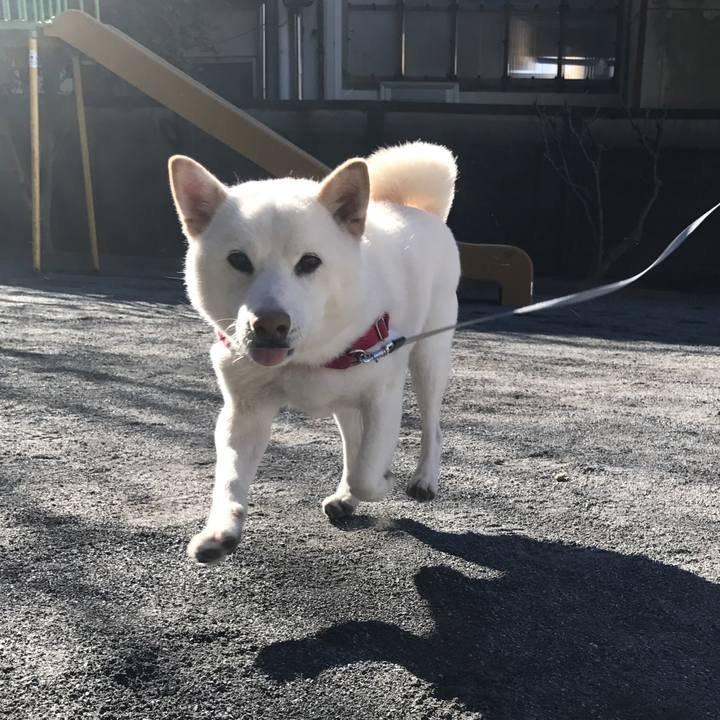 6a1baf0e ad5c 4ff9 8ac3 dba21faf6873 1515973436921