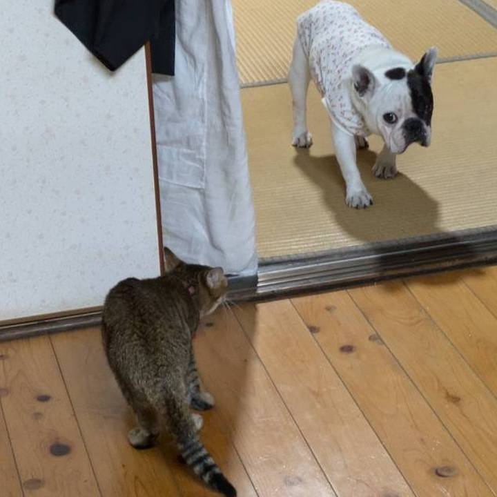 6a1bc0a8 9db0 4443 8040 1036ce8d1fb1 1723954582735