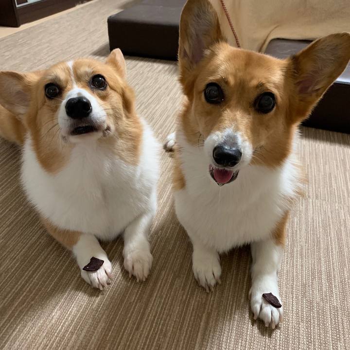 6a1bc45c 443c 4e0c b580 ef0fd1cf98cb 1562842131618