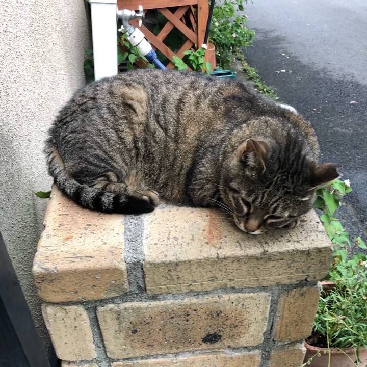 6a1bcfdd eec8 4f2c b60c 4937900e3aad 1592646648591