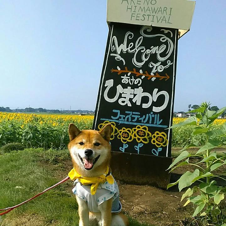 6a1c1050 634f 4550 8c60 63c3f07b51dd 1566695111772