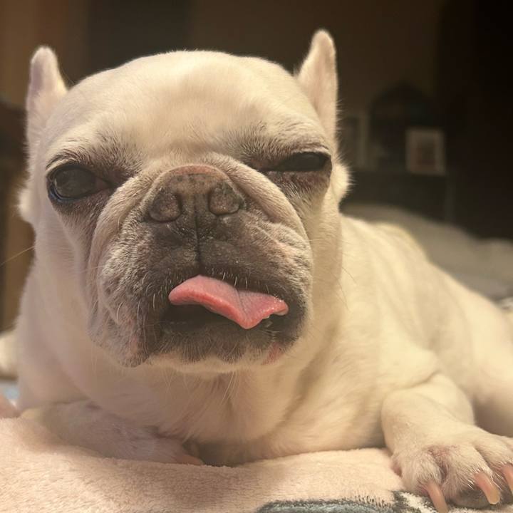 6a1c23e6 1c36 4fa3 8e5f 678c66f6d607 1728900030463