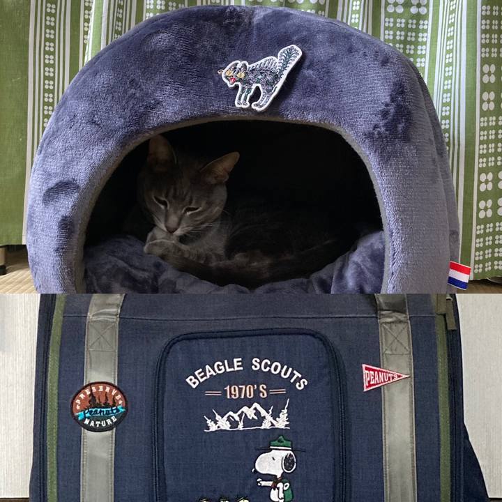 6a1c3511 7f57 46b9 8e8d ed09aac53b7f 1613264344717