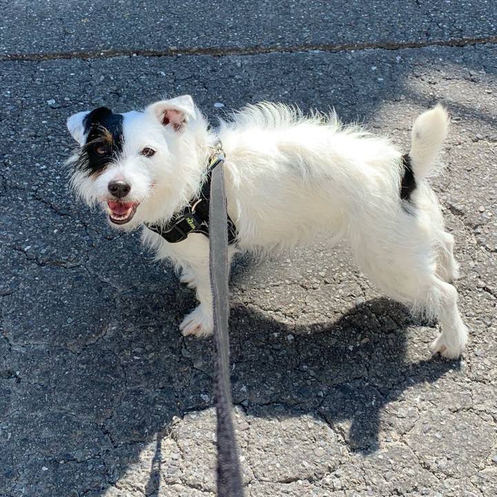 6a1c3fe8 b55a 4cea 846b 59c6c8316985 1560385501393