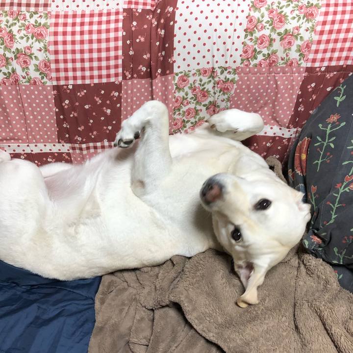 6a1c888f fba6 4d4f b043 6d583cc0e1e5 1617836364985