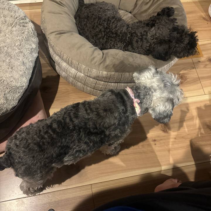 6a1ca0d2 4e69 4351 b242 0c550fc55ff0 1715866057853