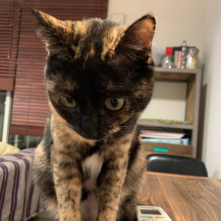 6a1cbbce ba53 4b85 ac32 9197f913b9df 1581679427320