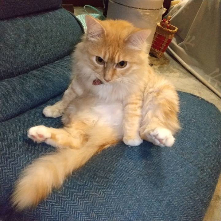 6a1cda34 9047 45f5 9e16 d76ef6fee8c6 1647352087083