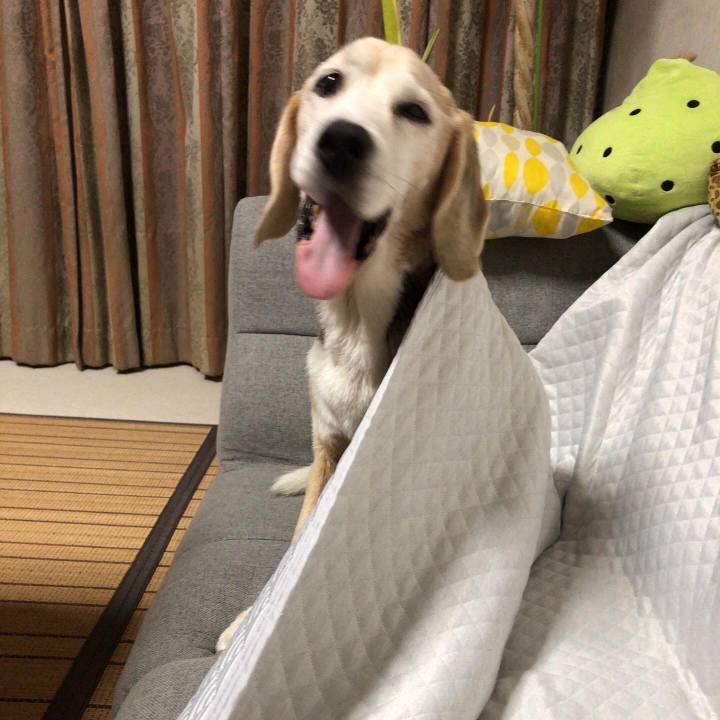 6a1d5e0a 124c 42d4 9481 101657ce0f78 1601013075105