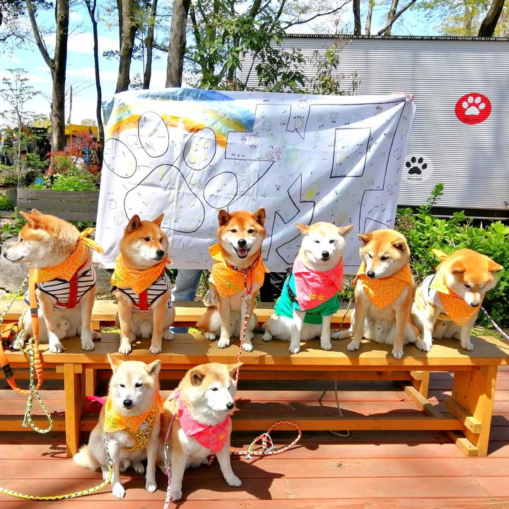 6a1d8416 3fa5 41a3 ae43 d49ab805f177 1650110960116