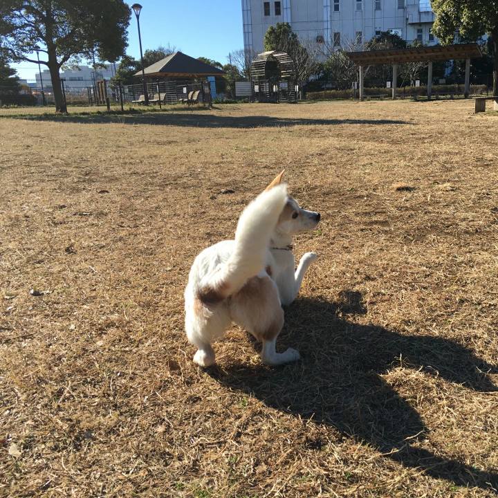 6a1da37b b0ea 4b01 9a3f 034f46aff9cc 1517077355870