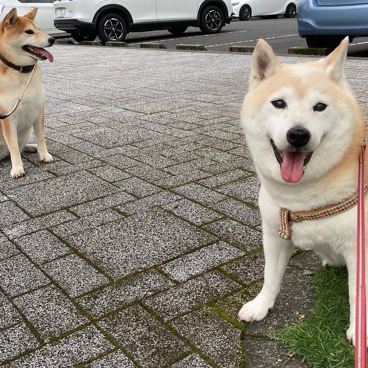 6a1db19e 46cc 4909 b1d7 f41c8848c110 1698939937231