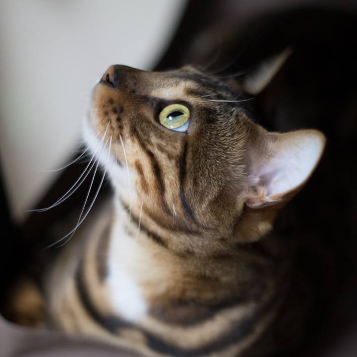 6a1db790 e426 4a14 b7ac 19b3c991b8d4 1520952268777