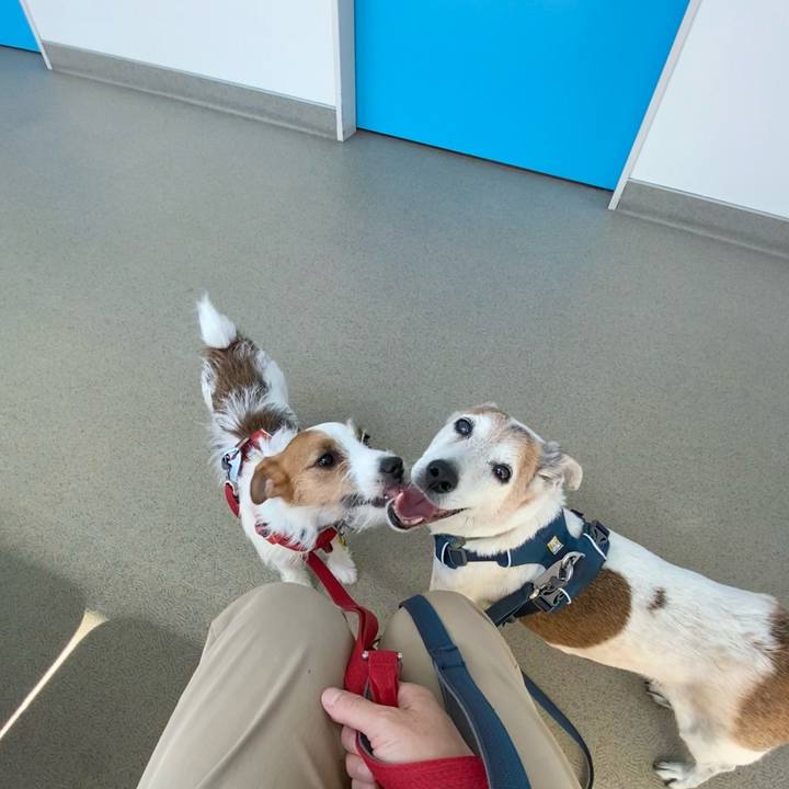 6a1dff47 5f7a 41ee b28e 8a65bedab955 1662859655962