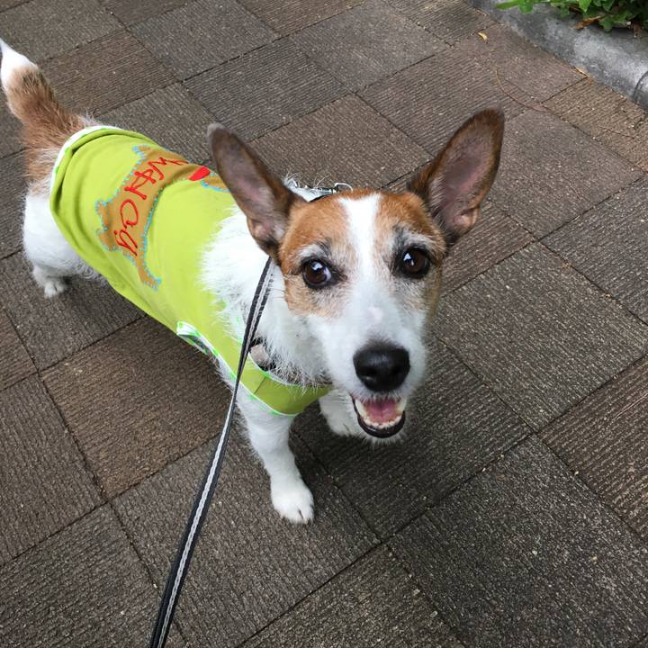 6a1e1eb4 57b1 4257 a8c0 2e0984aa055f 1559721264007